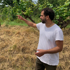 Jacopo Stigliano