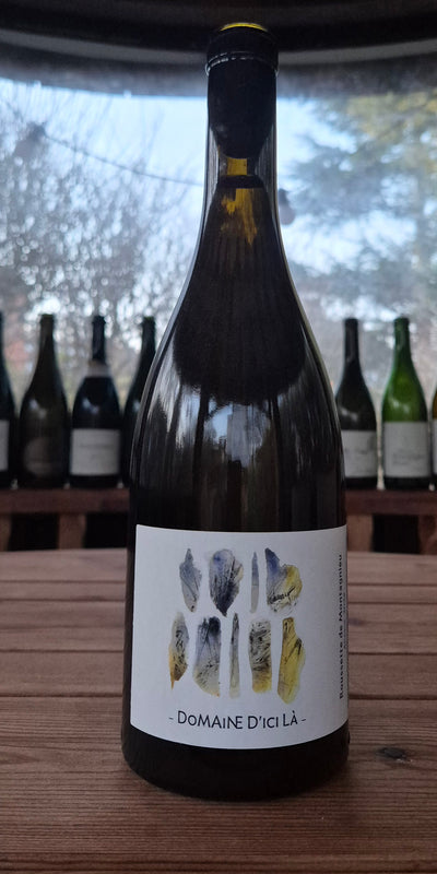 Roussette de Montagnieu